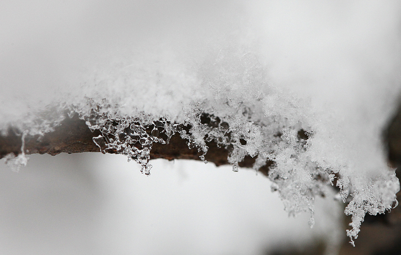 flakes