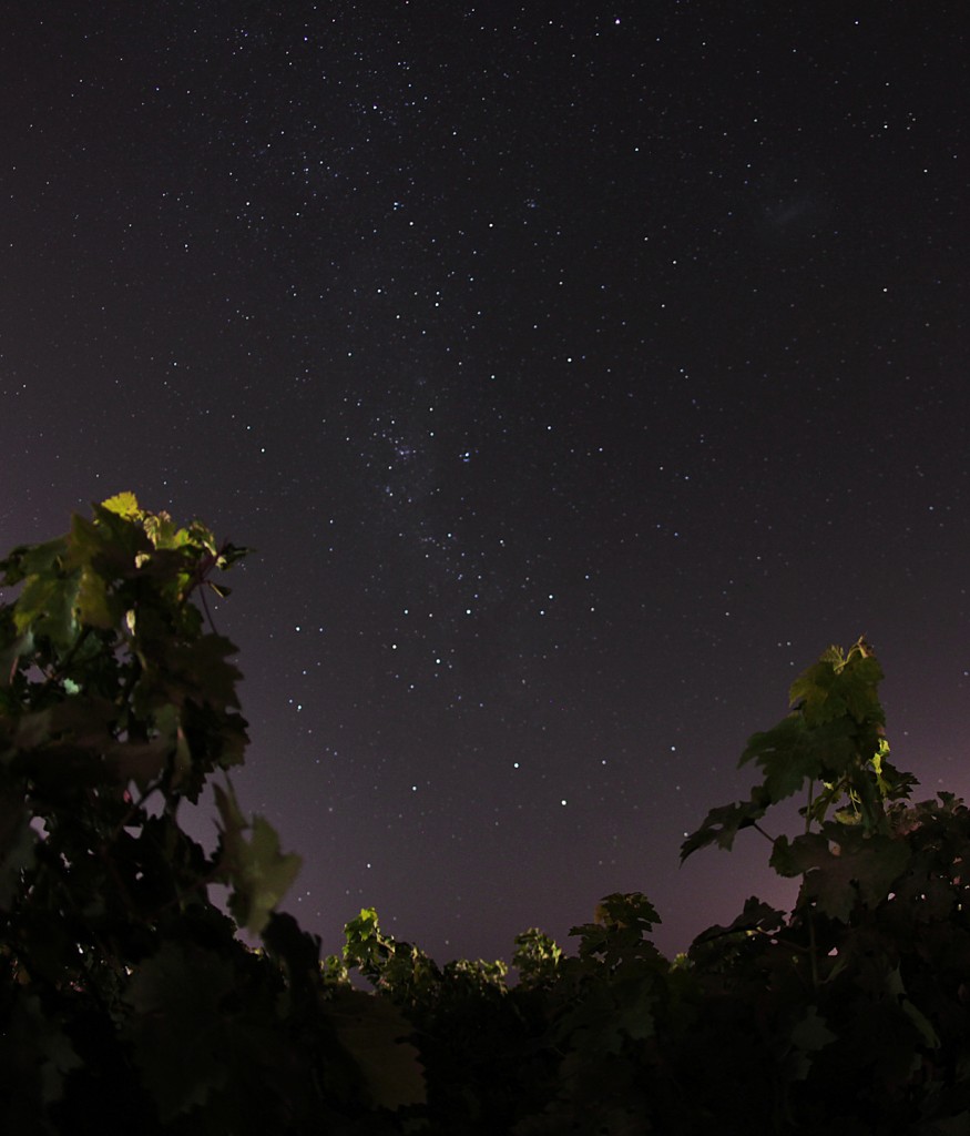 Chimbarongo Night 2