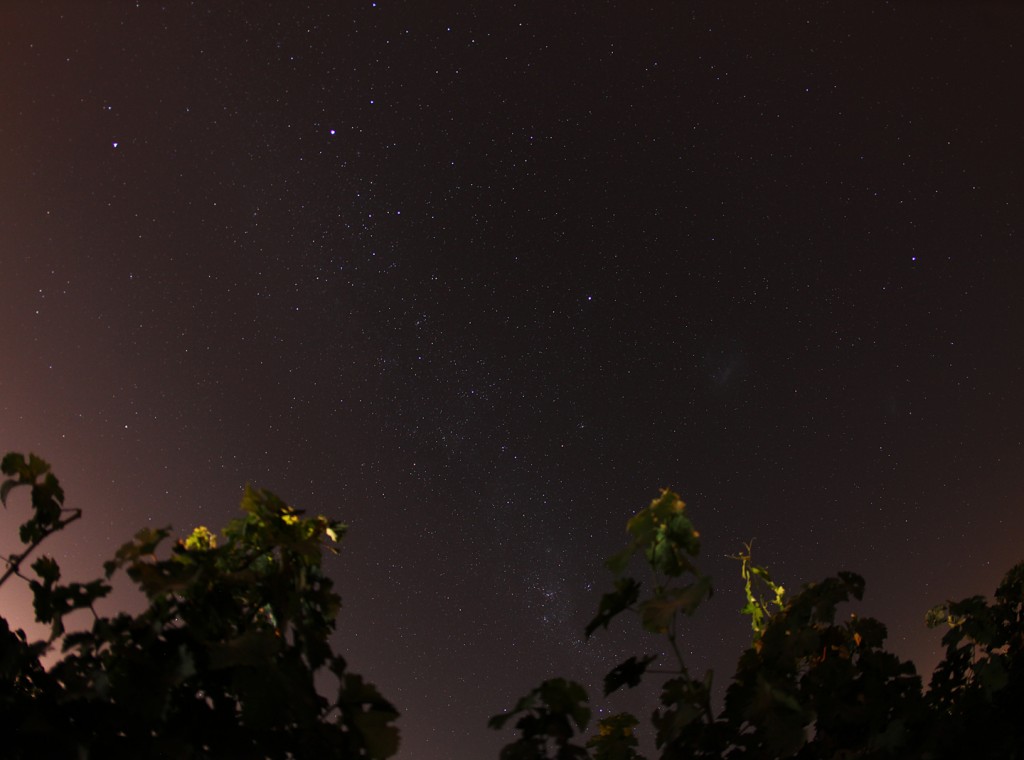 Chimbarongo Night 3
