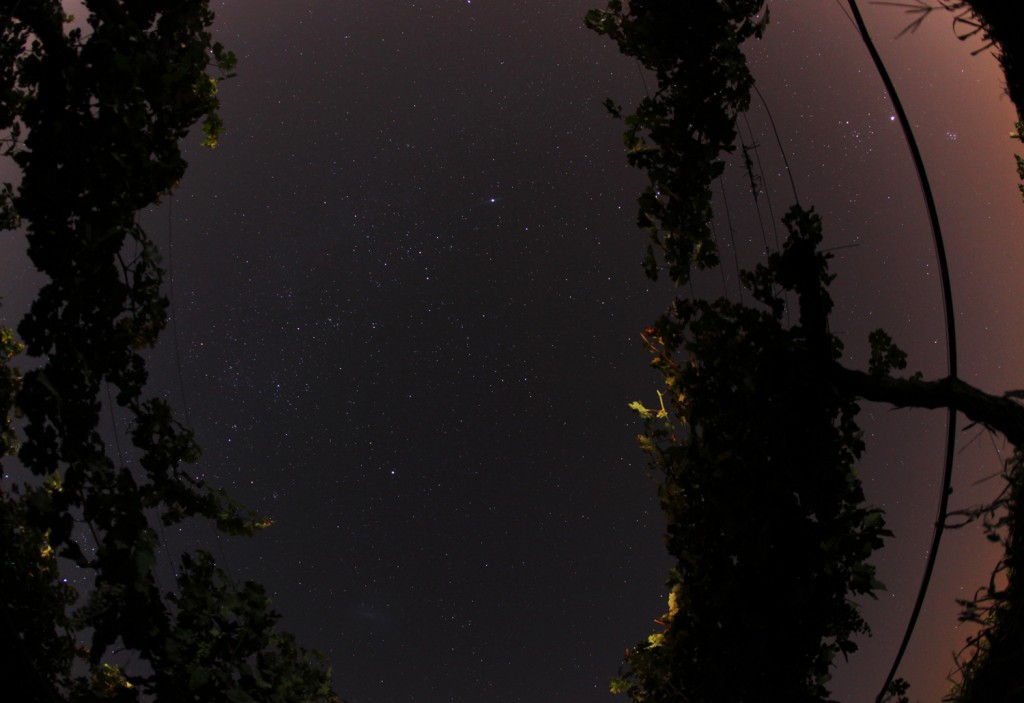 Chimbarongo Night 4