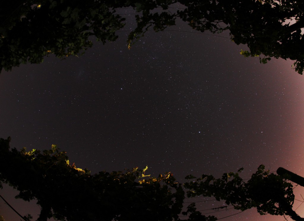 Chimbarongo Night 5