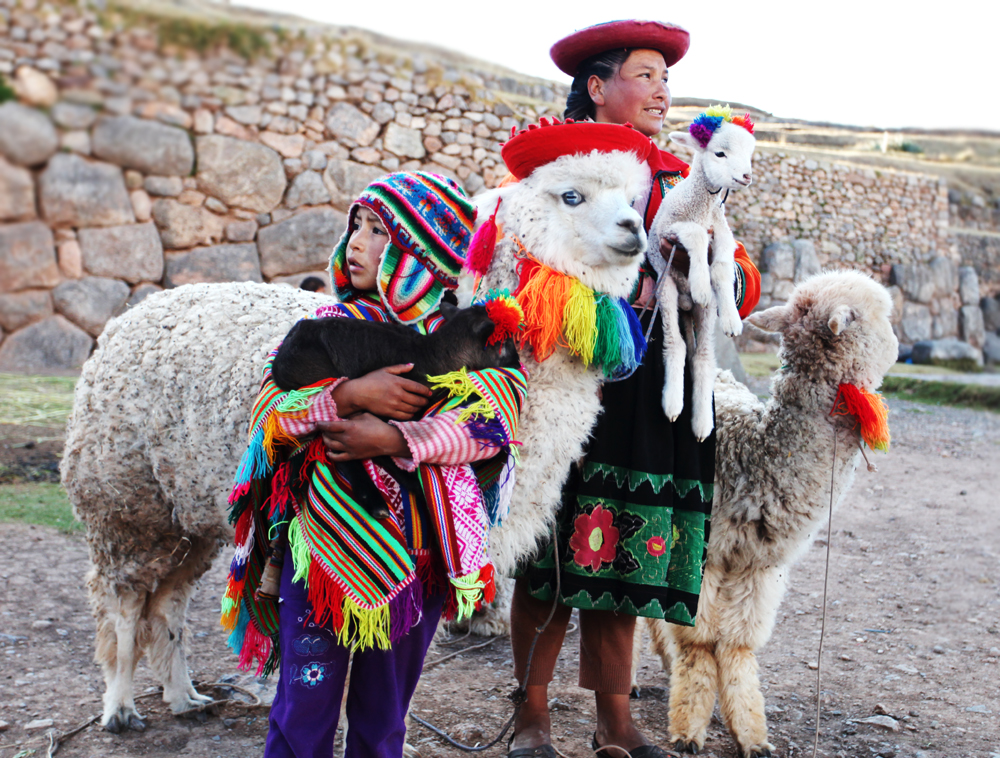 Llamas and Peruvians