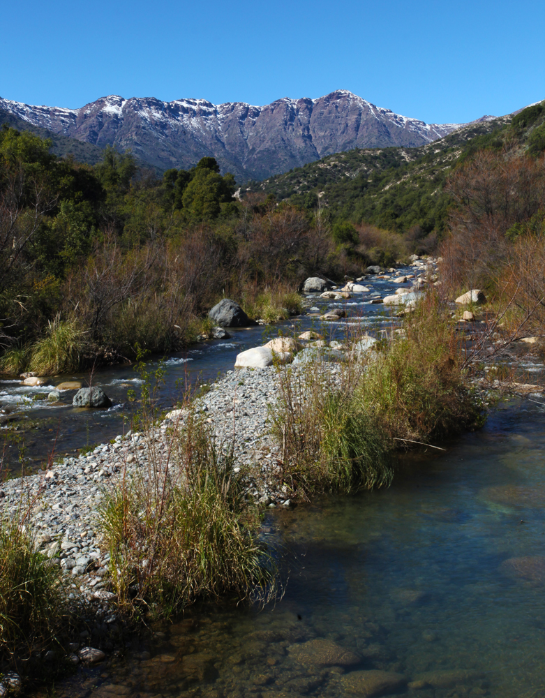 Rio clarillo