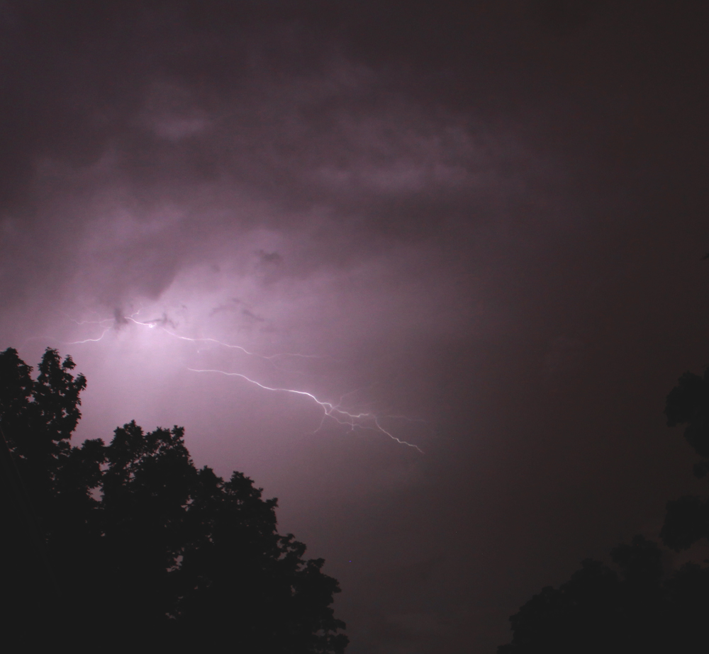 lightening over trees